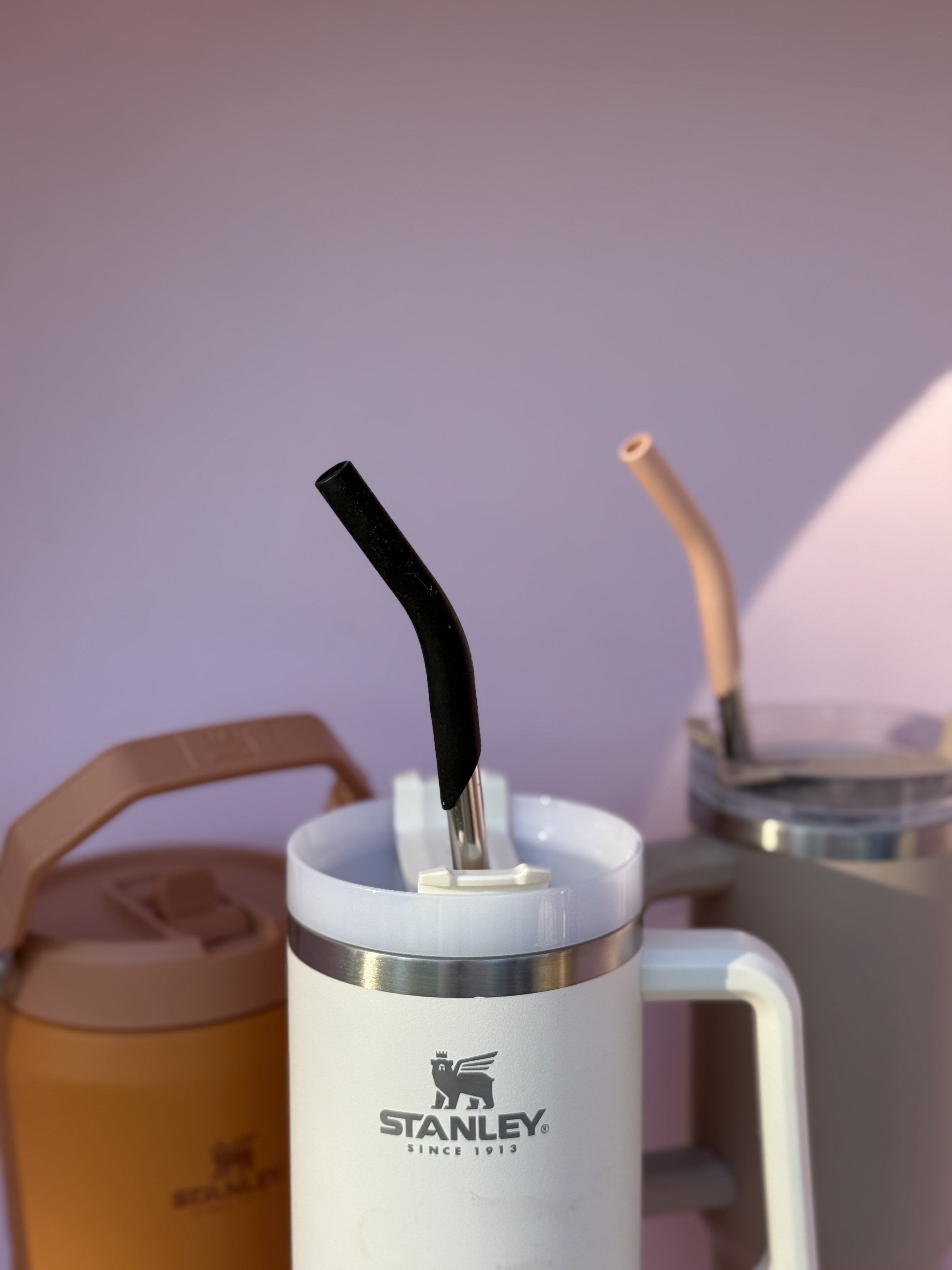 Purifyou Reusable Stainless Steel Straws with Silicone Tips Travel Set
